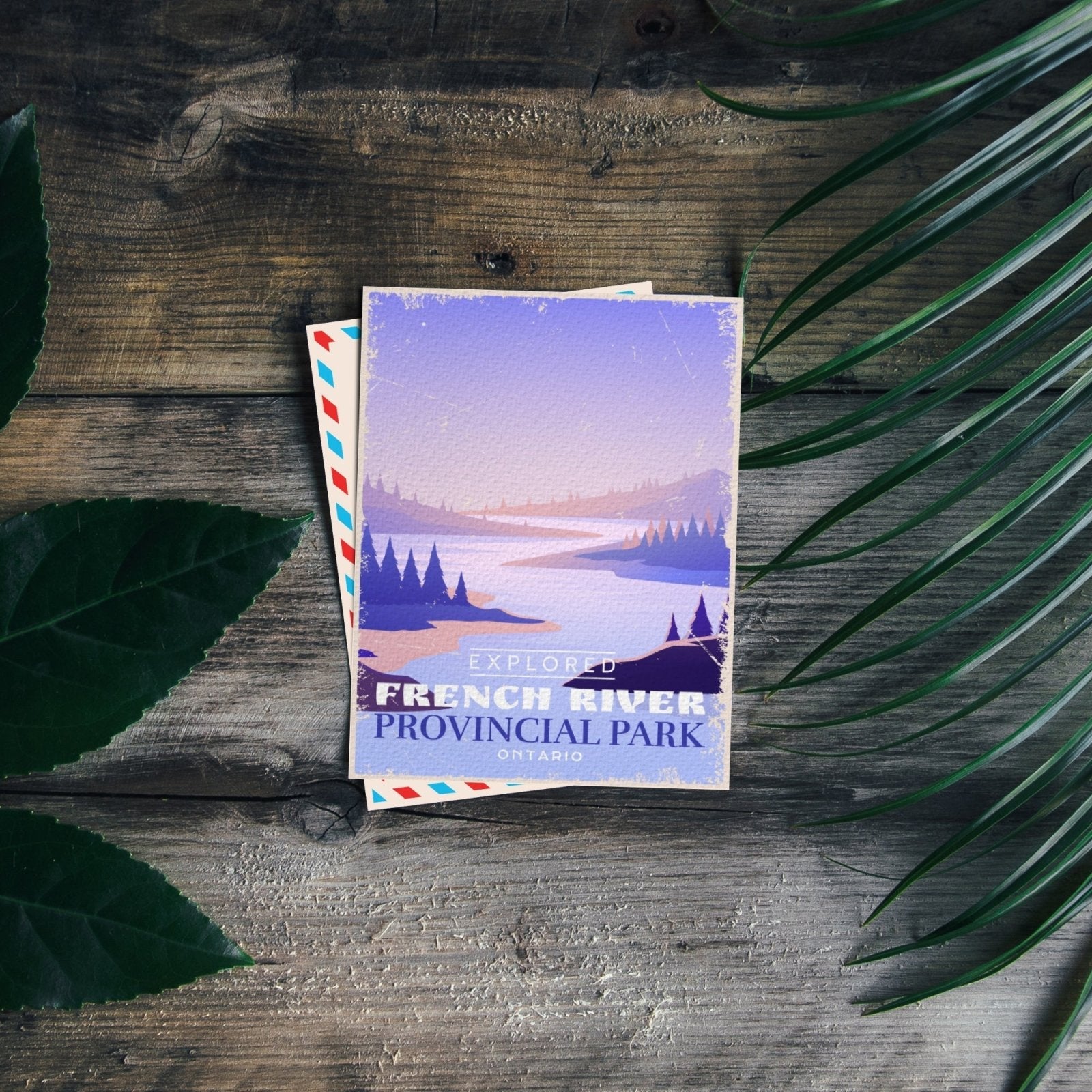 French River Ontario Provincial Park Postcard