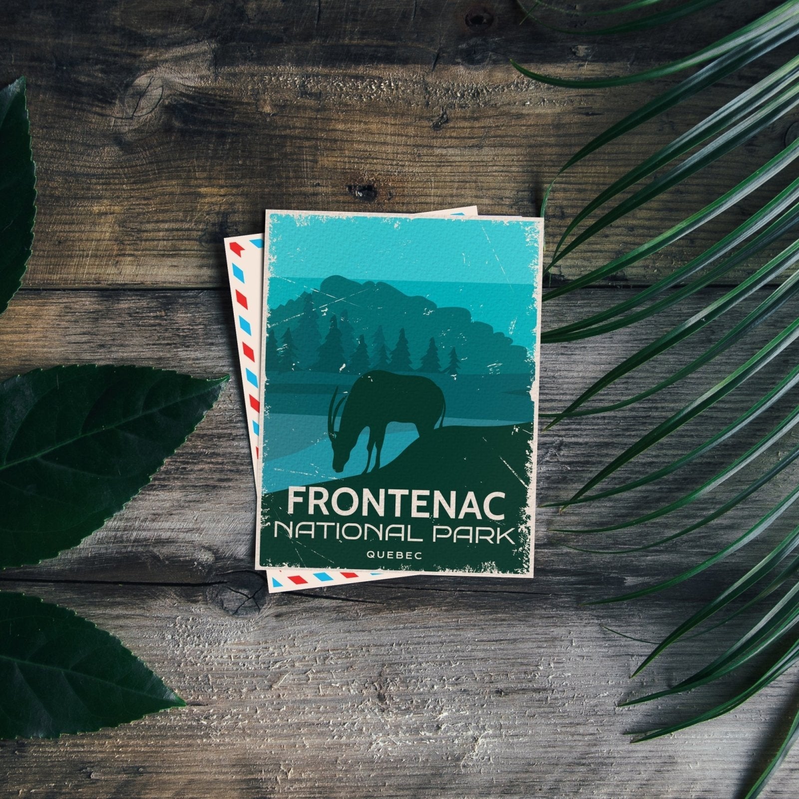 Frontenac Quebec National Park Postcard