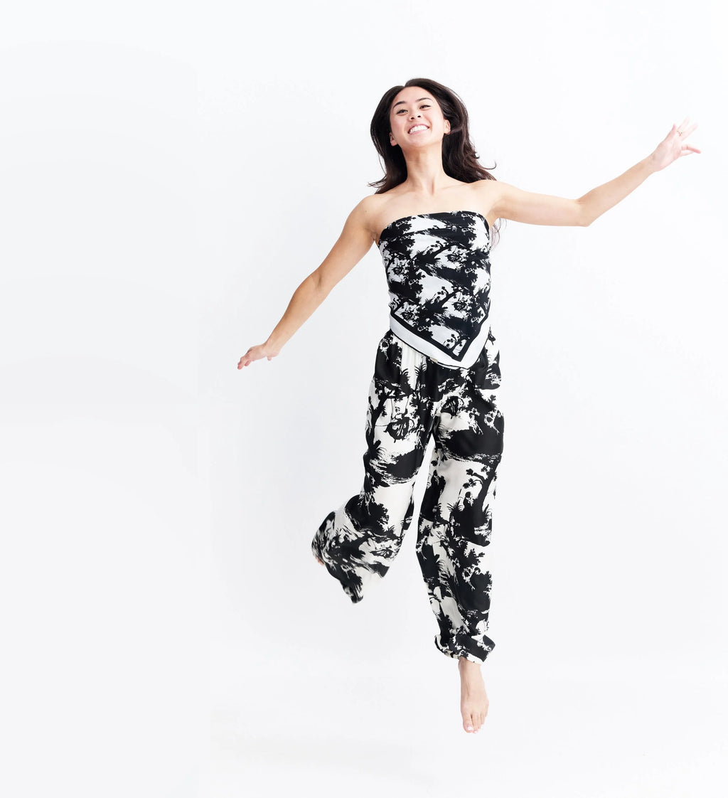 pop toile b&w silk pants