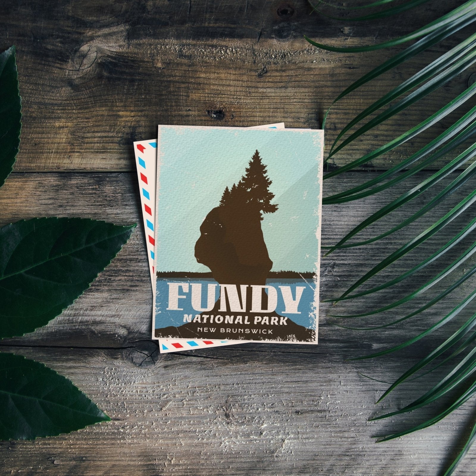 Fundy National Park of Canada Postcard