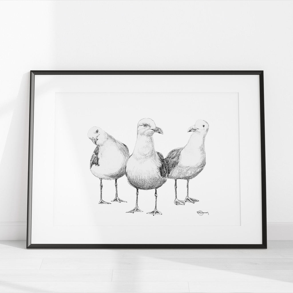 Funny Seagulls  - black and white animal art