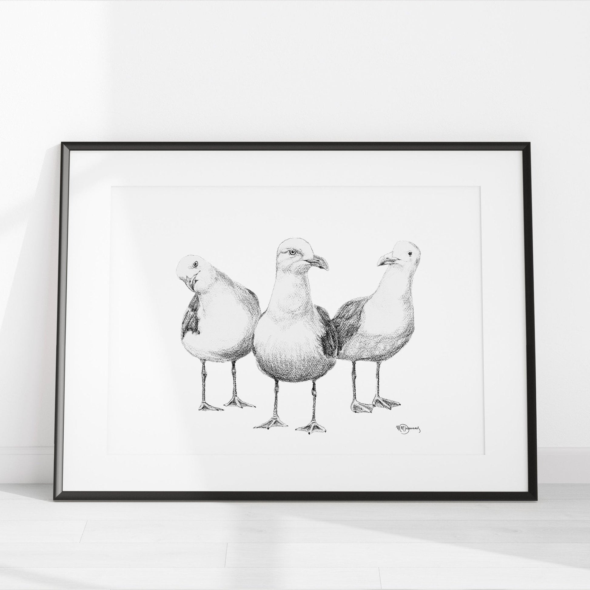Funny Seagulls  - black and white animal art