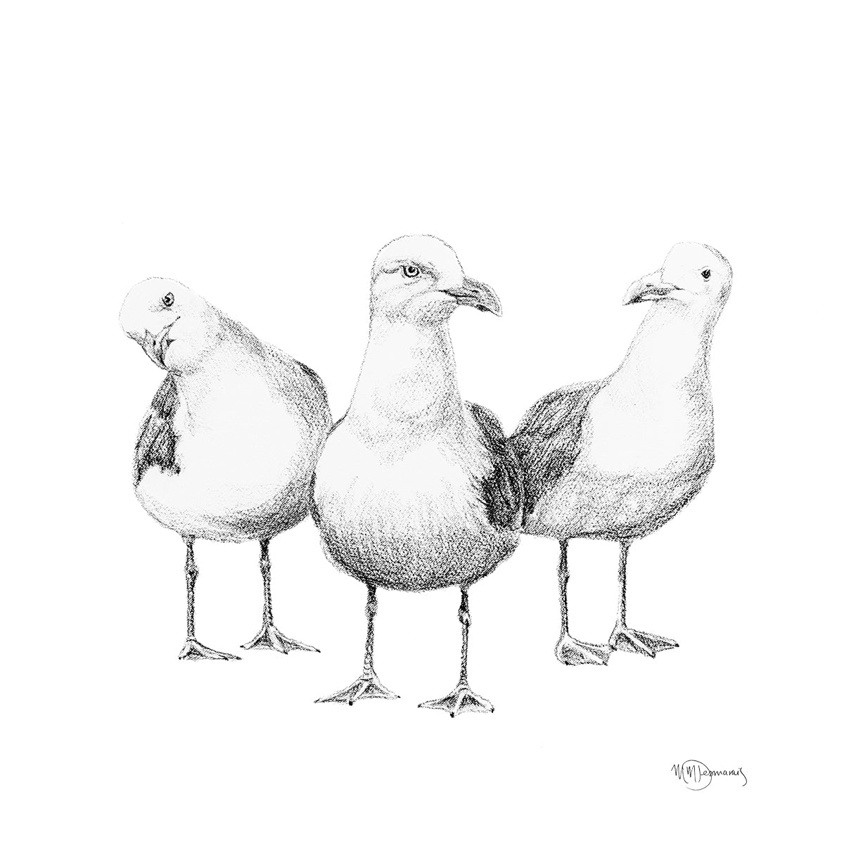 Funny Seagulls  - black and white animal art