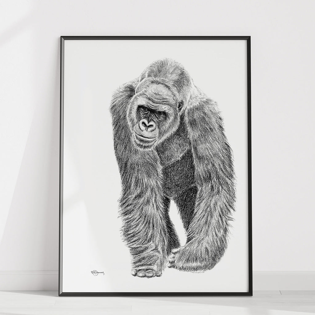 Gorilla illustration - wildlife animal print - collaboration with La Fondation du Zoo de Granby
