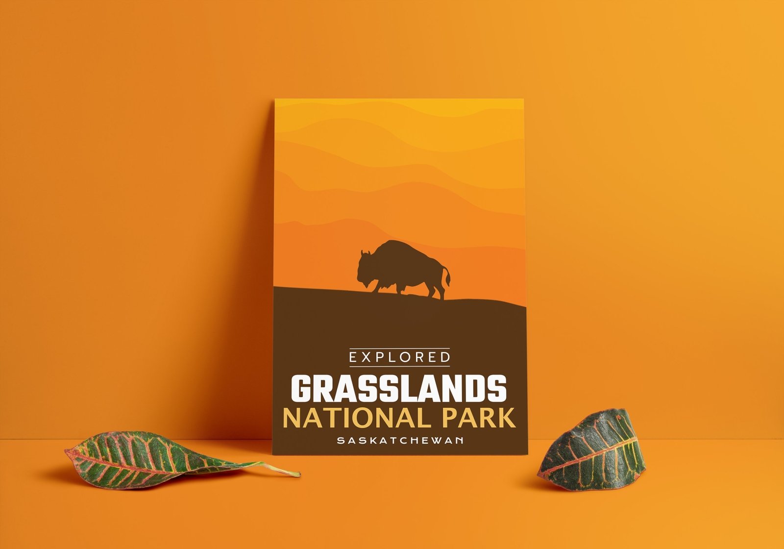Grasslands National Park 'Explored' Poster