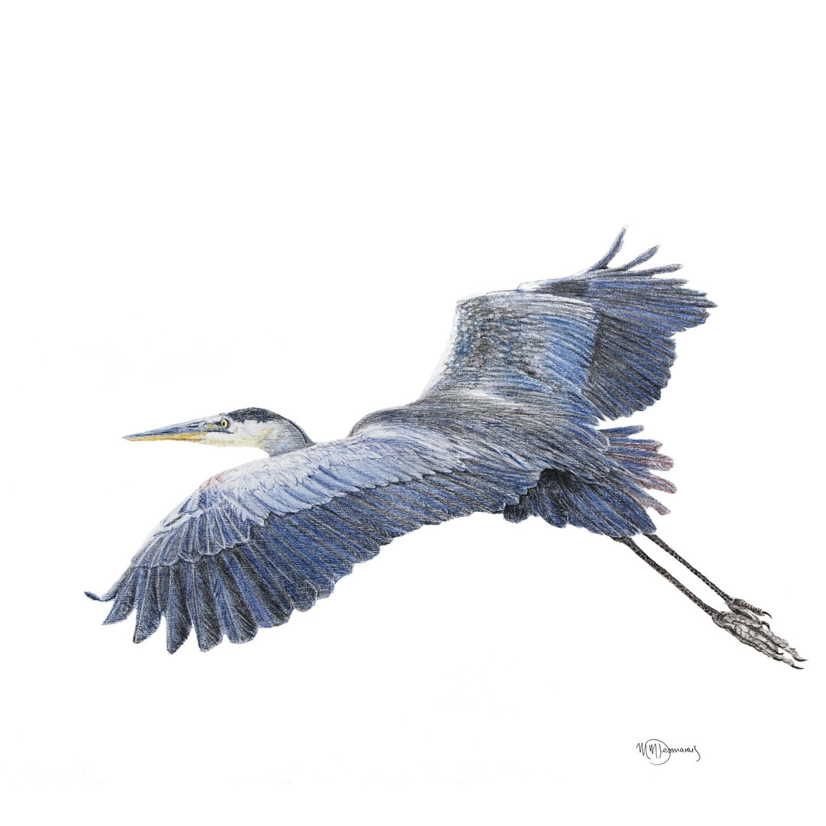 Grand héron bleu - impression artistique en couleur