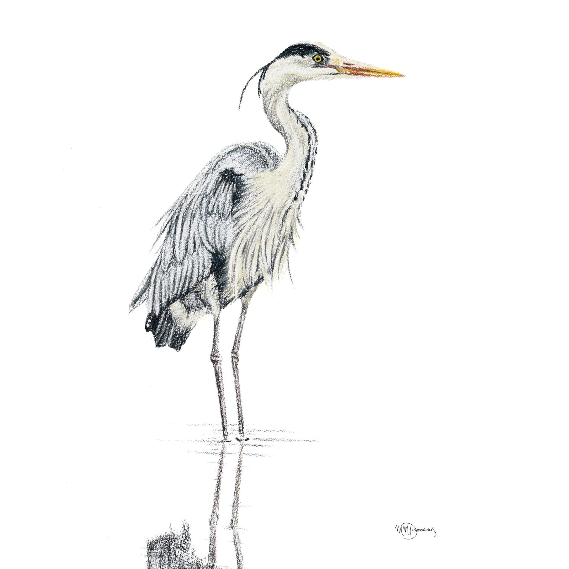 Heron NO 1 - Colored Blue Heron in water - art print