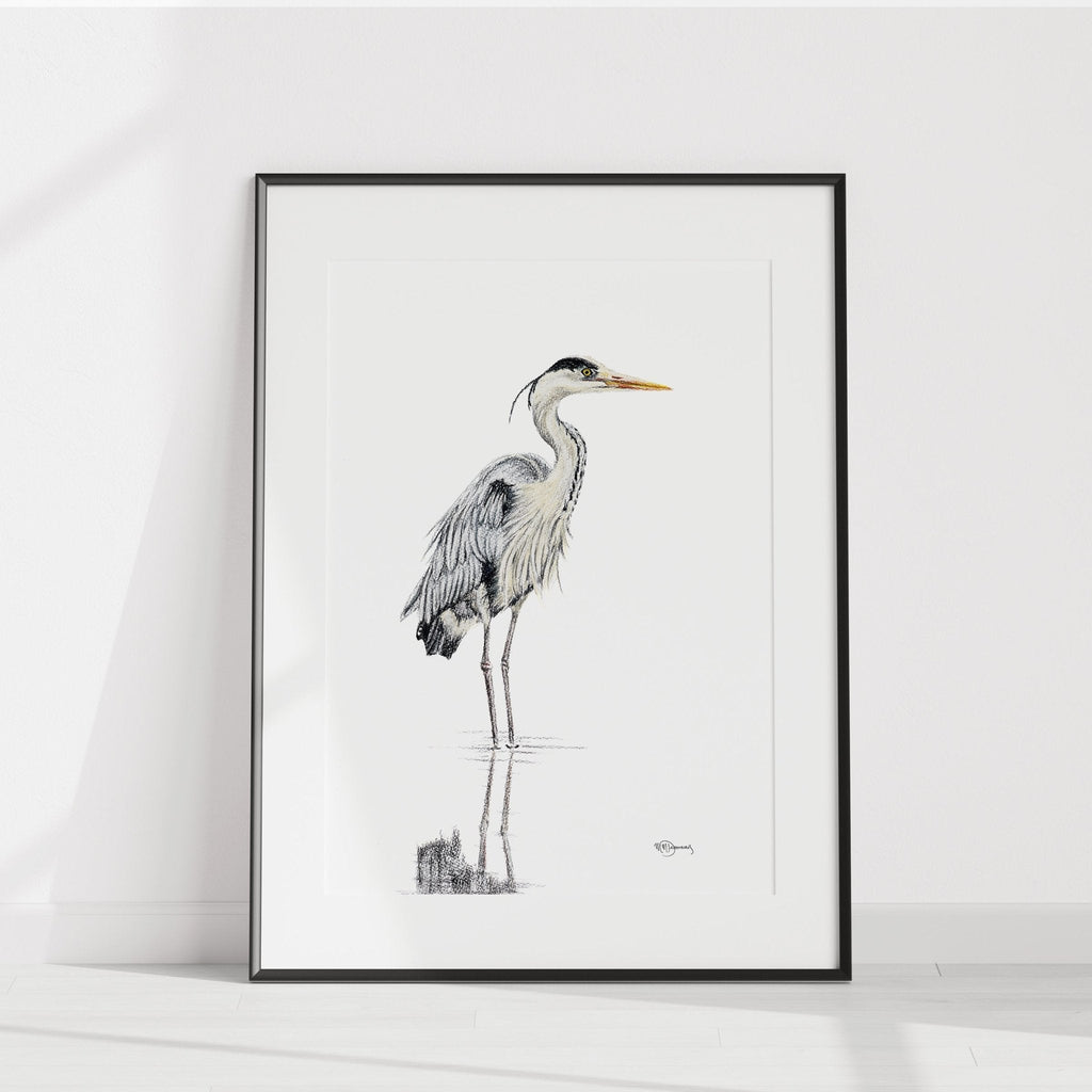 Heron NO 1 - Colored Blue Heron in water - art print