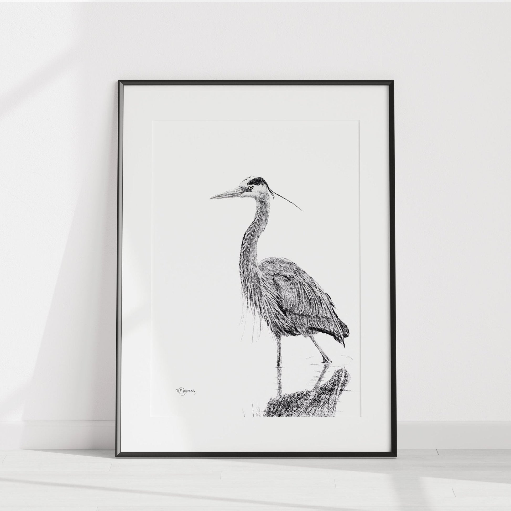 Heron NO 2 - Black and white - Blue Heron in water -  art print
