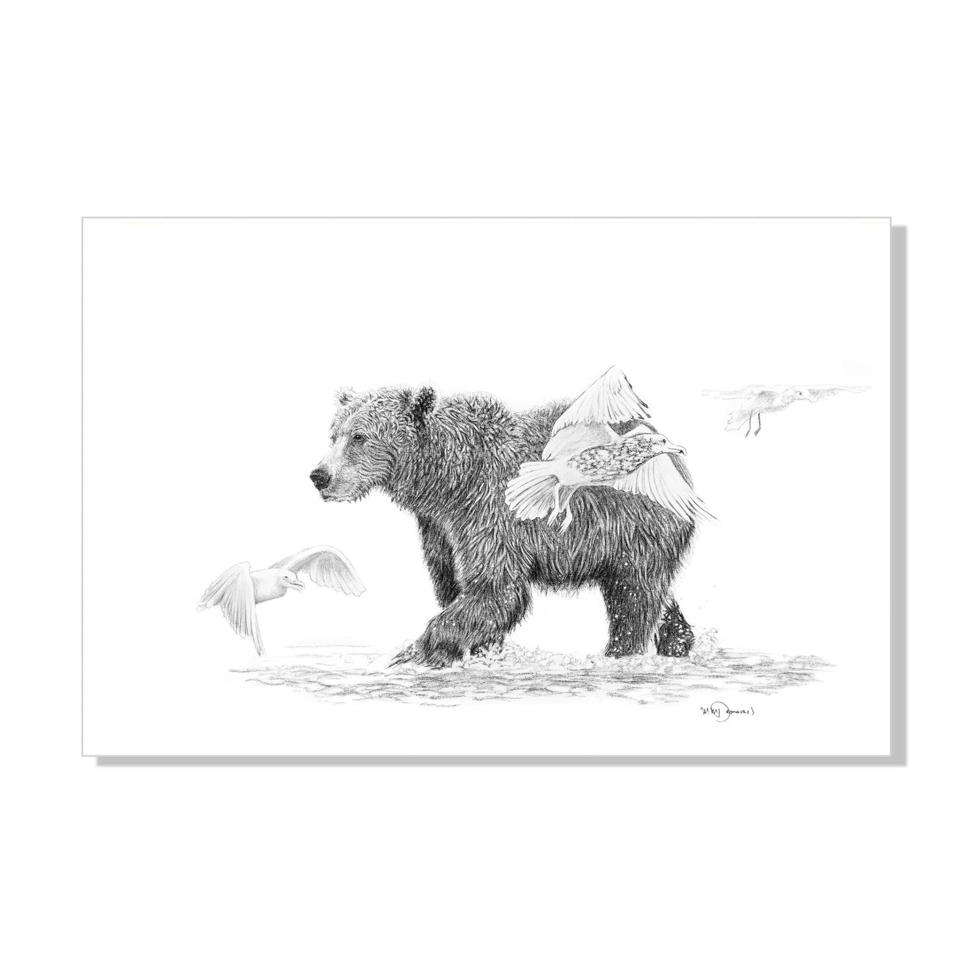 Grizzly with Birds - Woodland Animal Wall Art