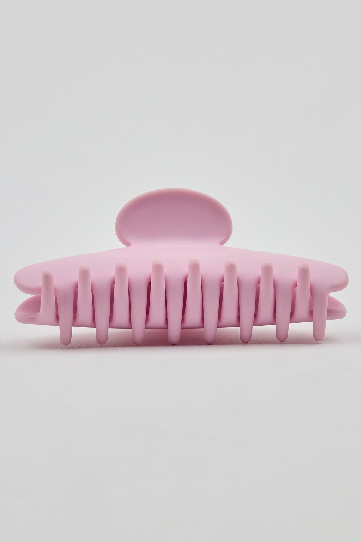 Pince arrondie de base de petite taille