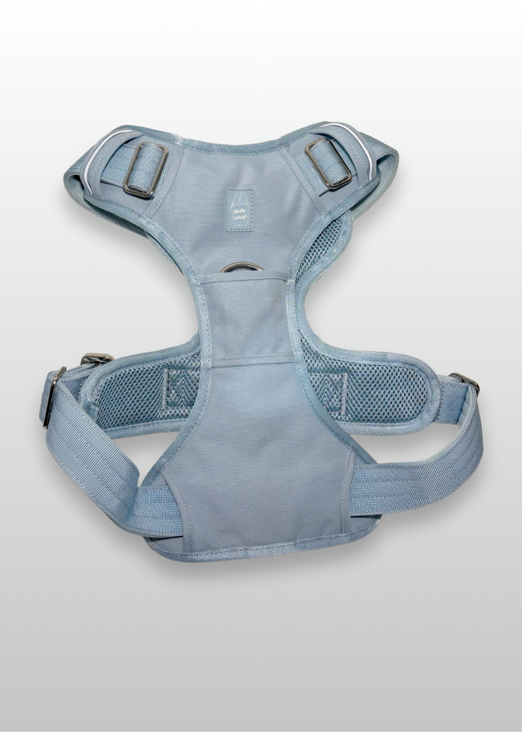 Harnais robuste pour usage quotidien - Bleu clair