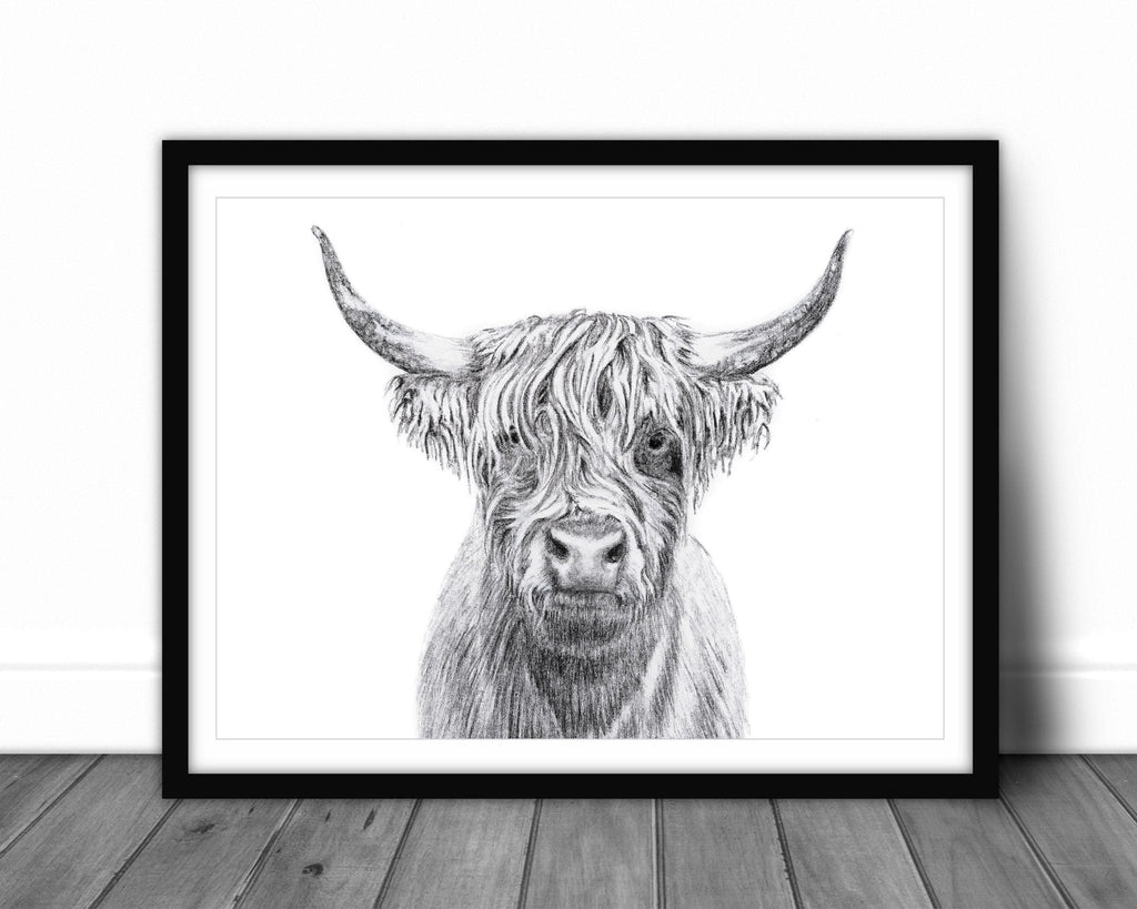 Highland Cow Portrait - art print