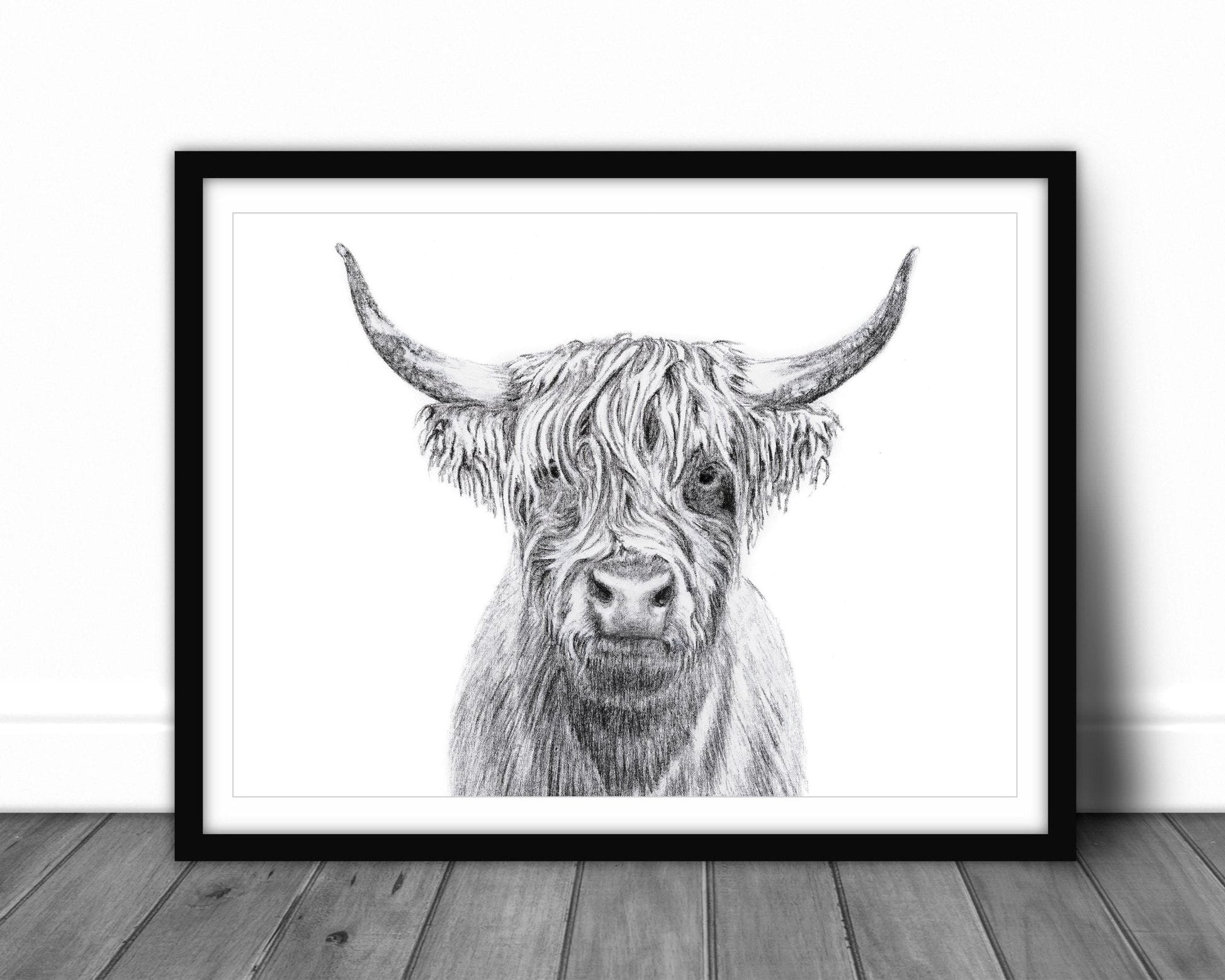 Highland Cow Portrait - art print