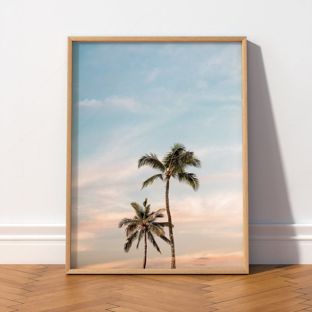 Palm Tree Photography Print – Tropical Coastal Wall Art Decor