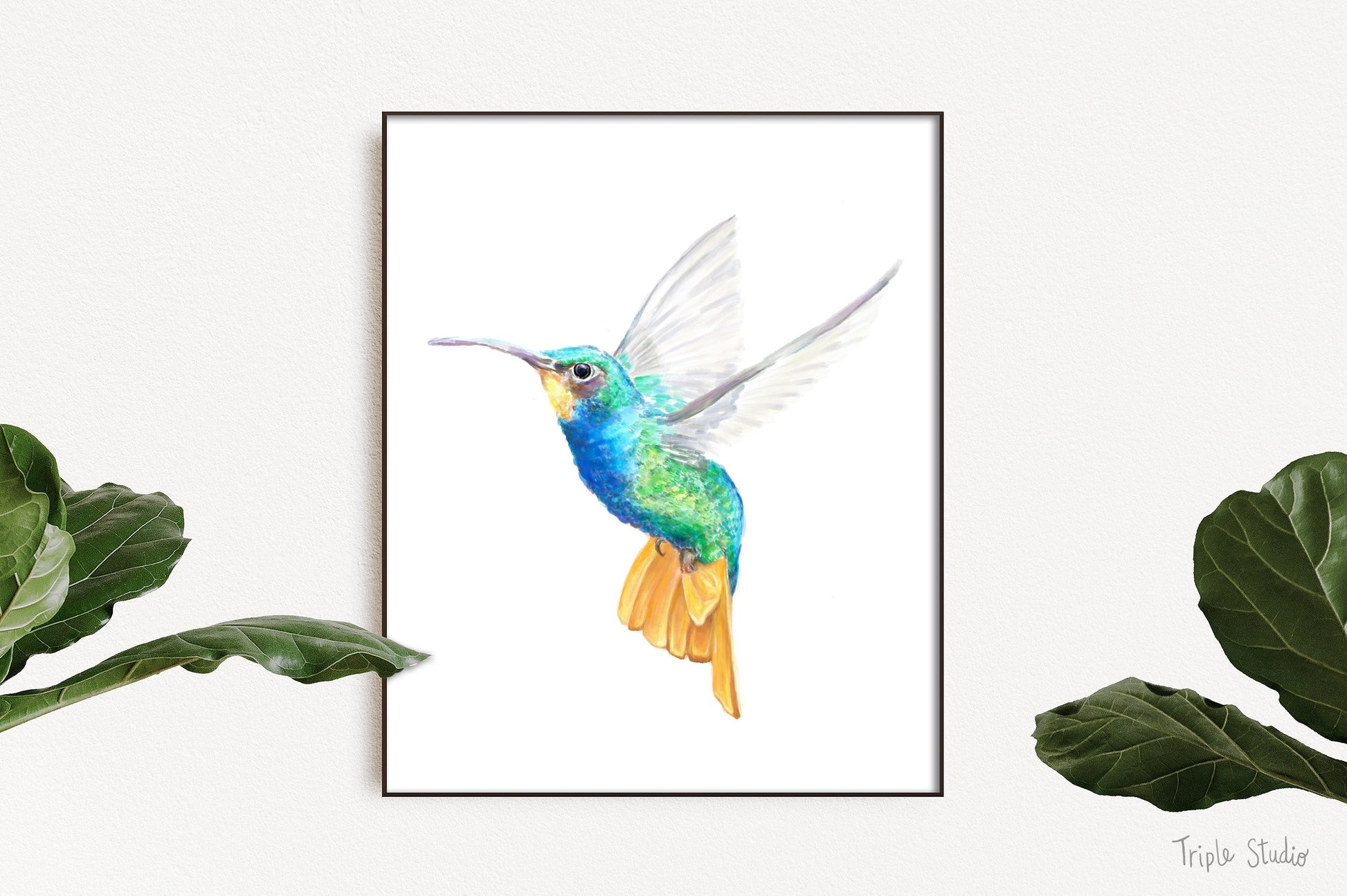 Estampe d'art Colibri