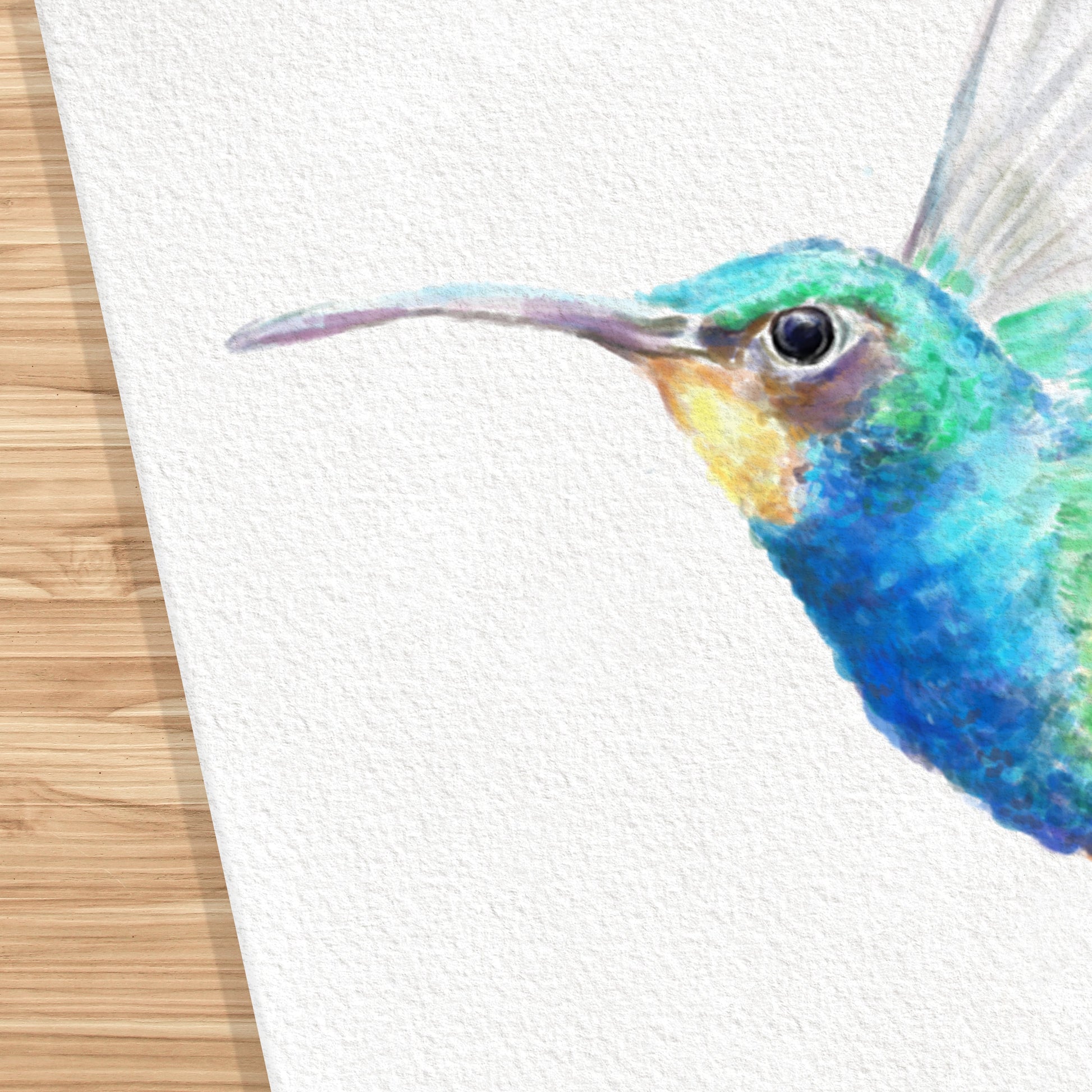 Estampe d'art Colibri