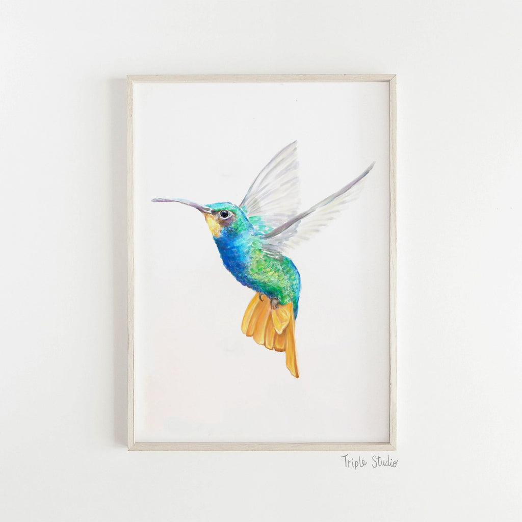 Estampe d'art Colibri