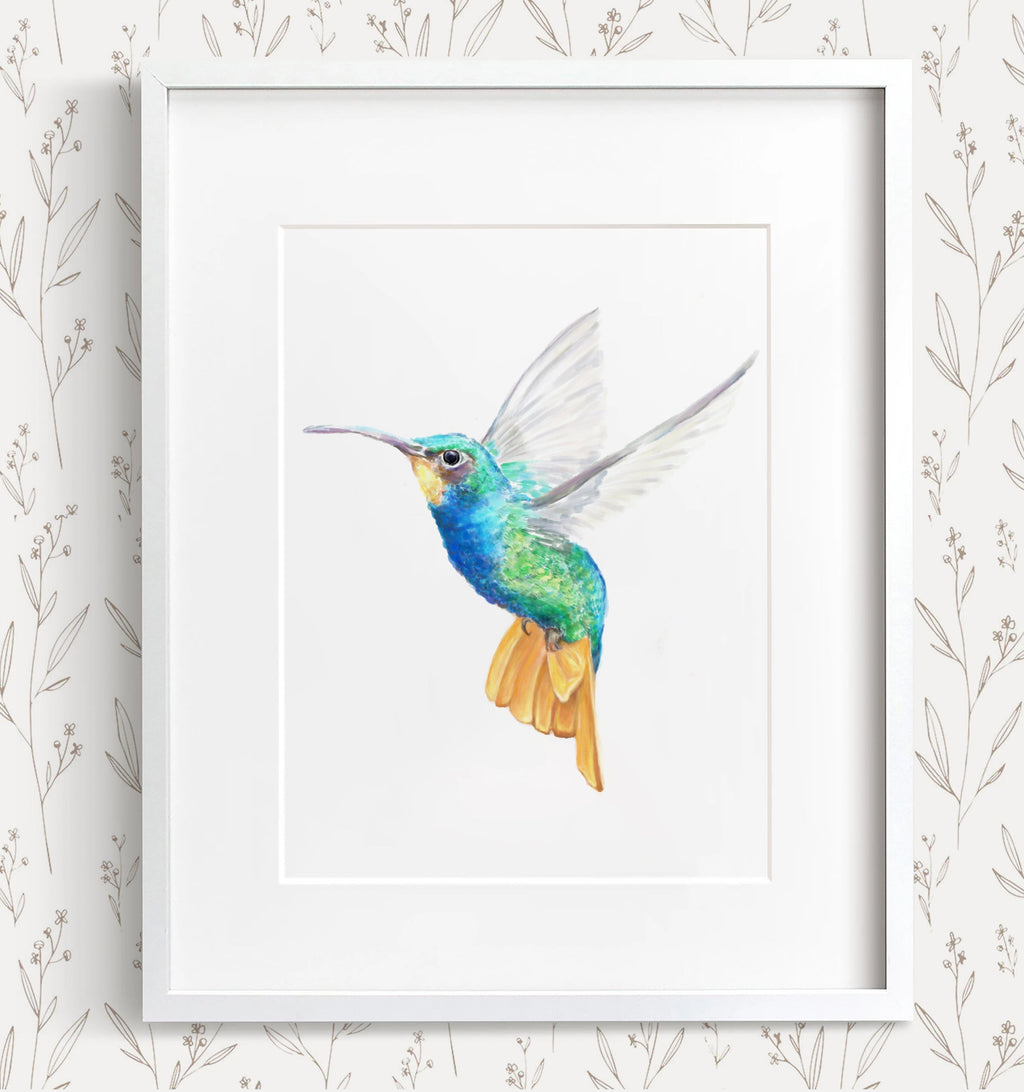 Estampe d'art Colibri