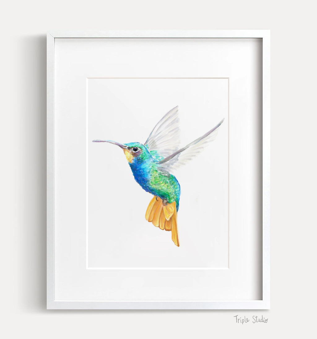 Estampe d'art Colibri