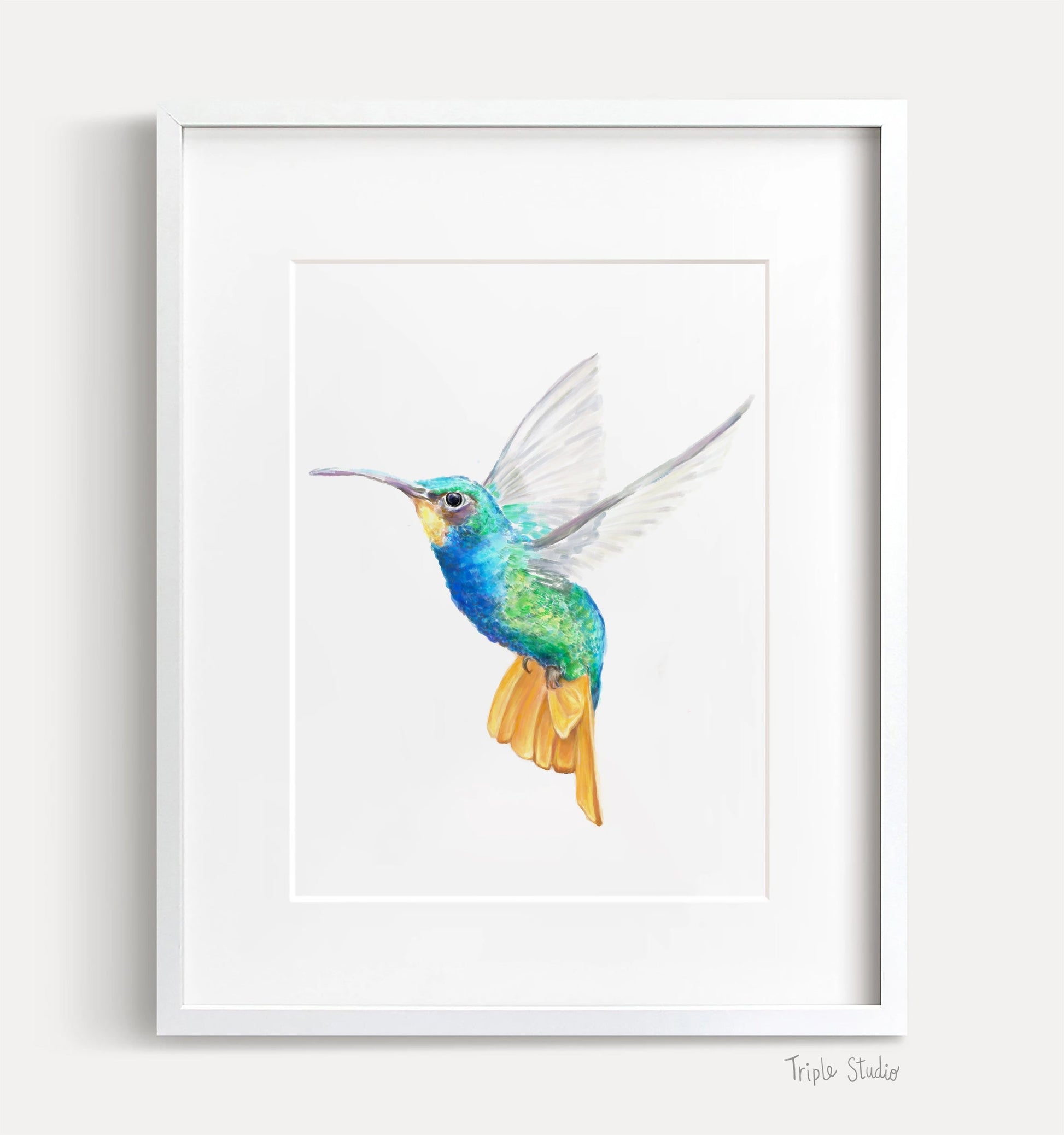 Estampe d'art Colibri