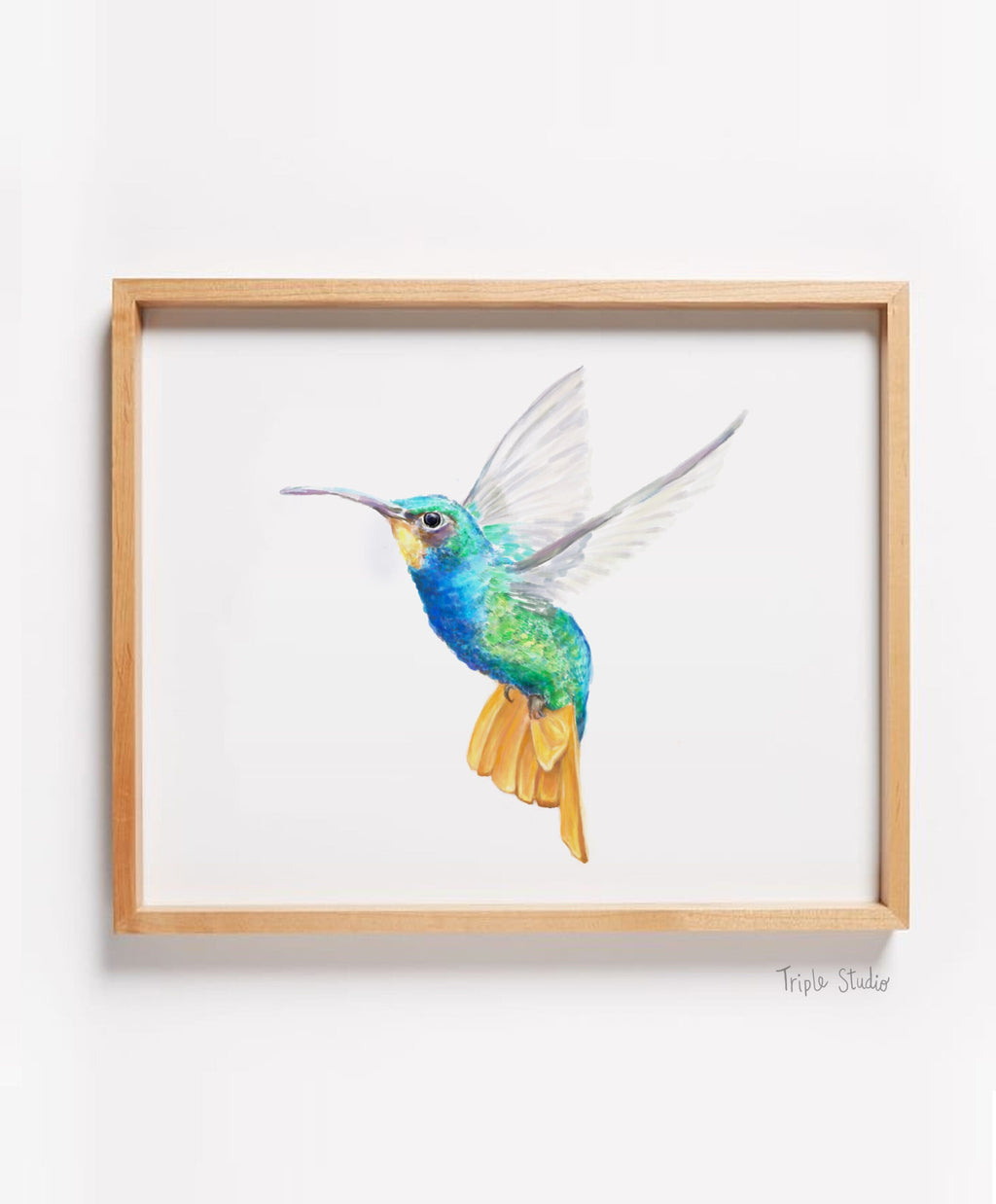 Estampe d'art Colibri