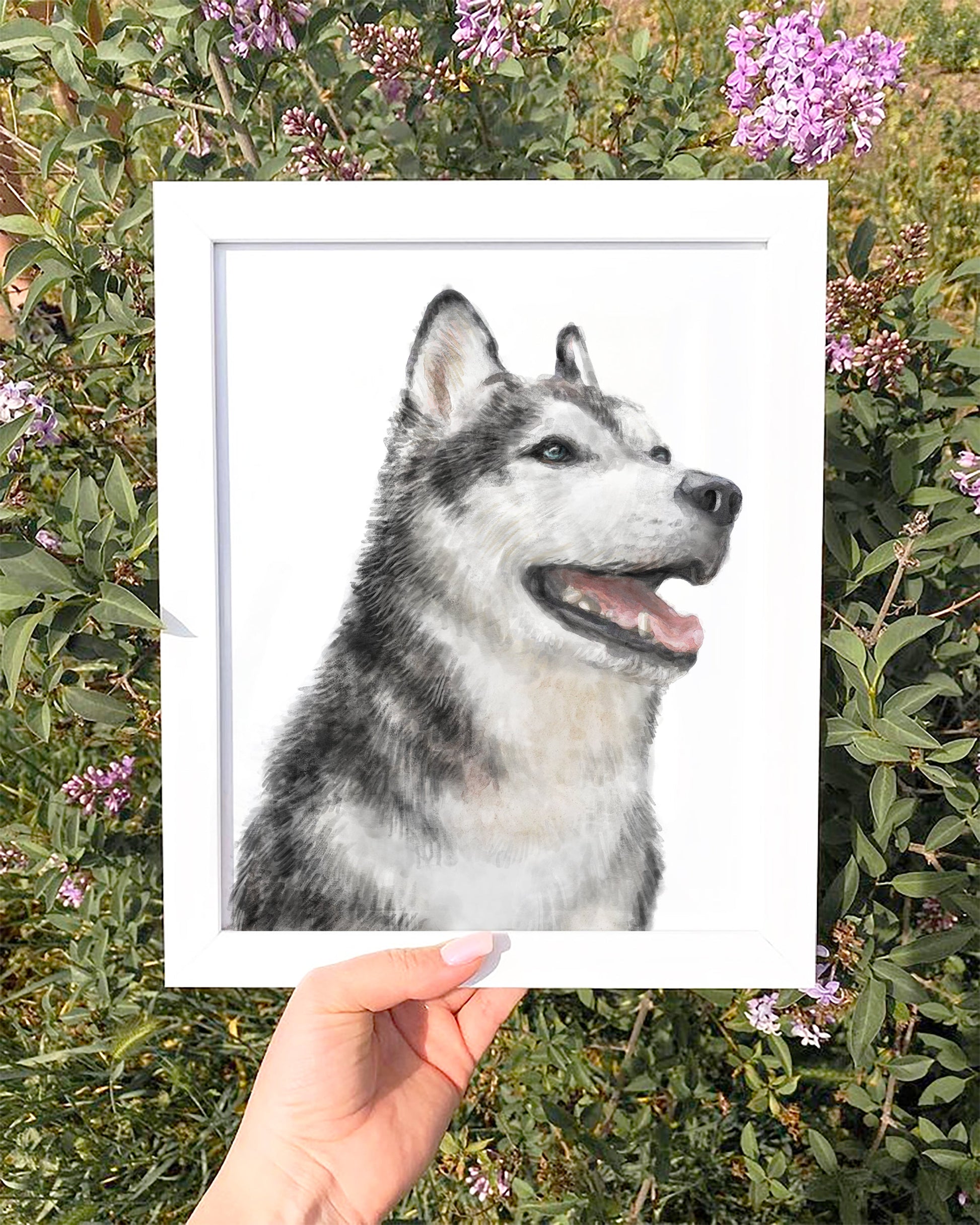 Peinture aquarelle Husky | Art mural moderne pour chiens