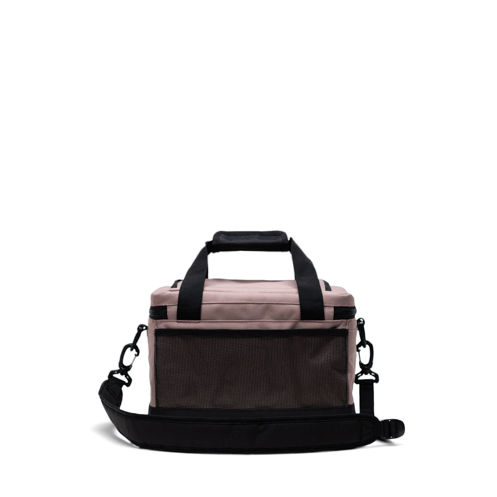 Pop Quiz Cooler 12 Pack | Insulated