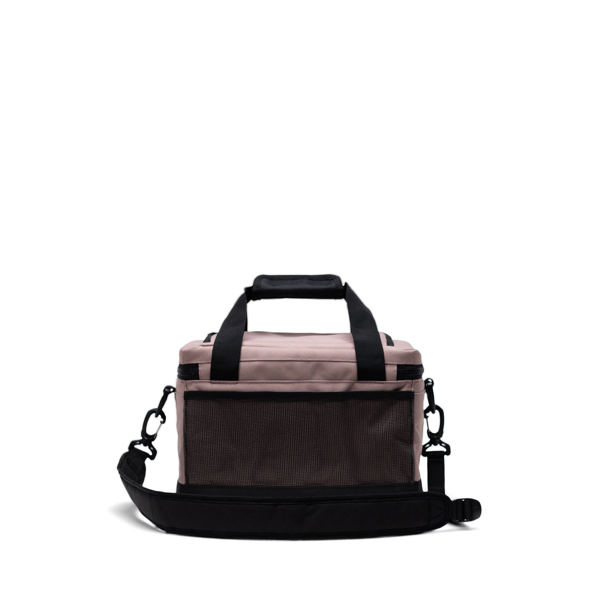 Pop Quiz Cooler 12 Pack | Insulated