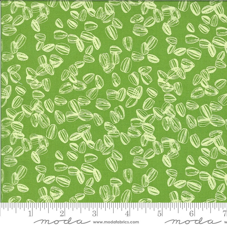 Solana de Robin Pickens - Sprout
