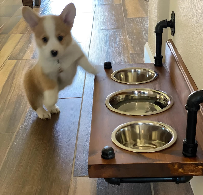 Floating Dog Bowl Feeder - Wall Mount Stylish Design for Modern Pet Dining - Space-Saving Dog Feeder & Bowl Combo