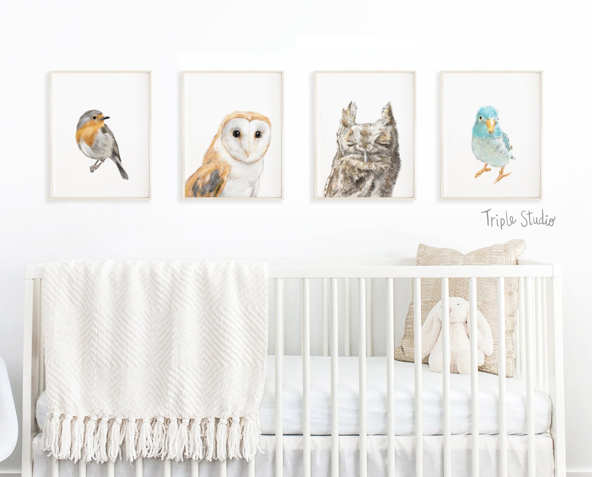 Burrowing Owl Art Print