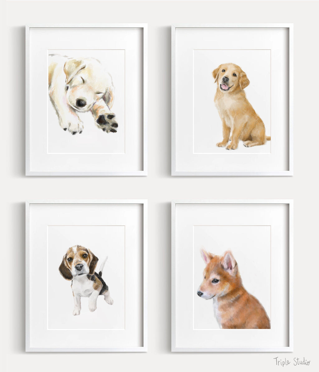 Estampe d'art représentant un chiot Shiba Inu : Peinture originale à l'aquarelle