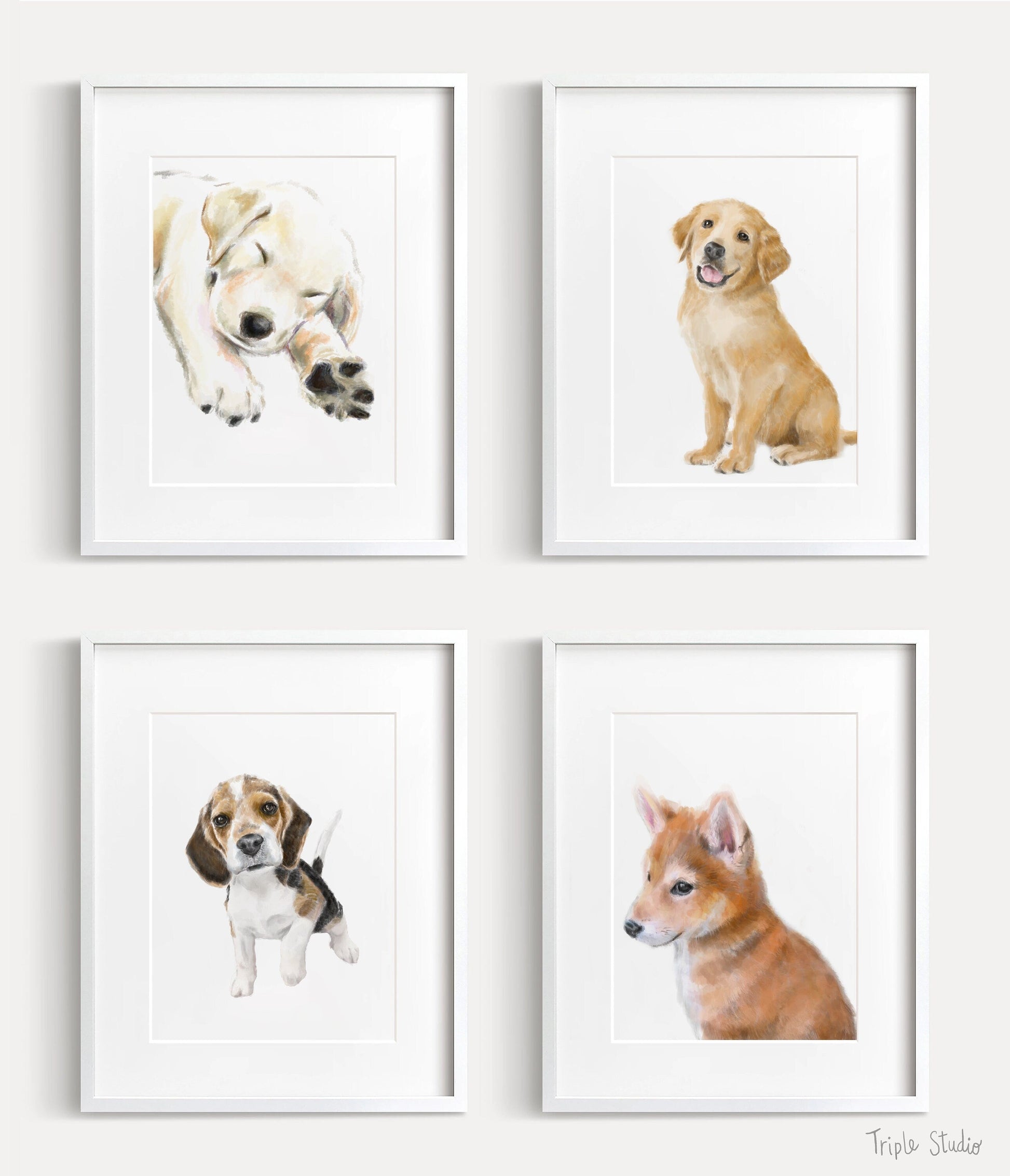 Estampe d'art représentant un chiot Shiba Inu : Peinture originale à l'aquarelle