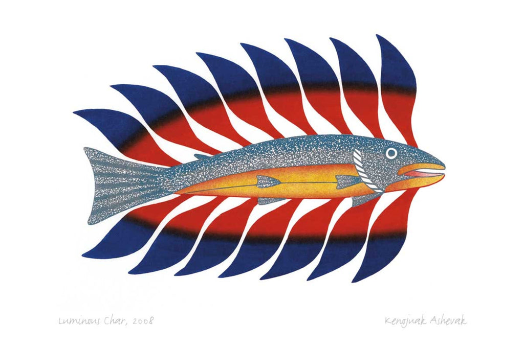 Luminous Char, 2008, lithographie, par Kenojuak Ashevak, carte d'art autochtone inuit, décor autochtone, carte d'art encadrée