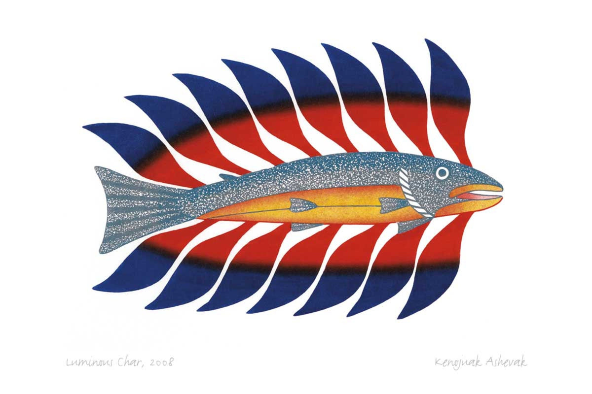 Luminous Char, 2008, lithographie, par Kenojuak Ashevak, carte d'art autochtone inuit, décor autochtone, carte d'art encadrée