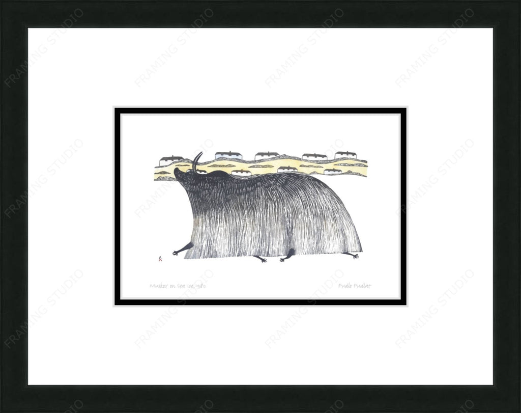 Muskox On Sea Ice, 1980 par Pudlo Pudlat, carte d'art autochtone, carte encadrée d'art inuit