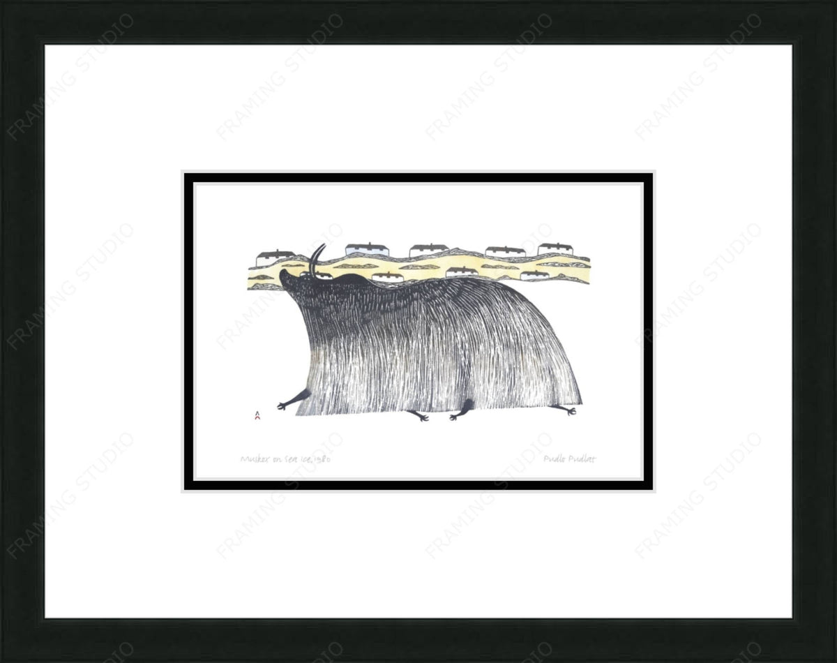 Muskox On Sea Ice, 1980 par Pudlo Pudlat, carte d'art autochtone, carte encadrée d'art inuit