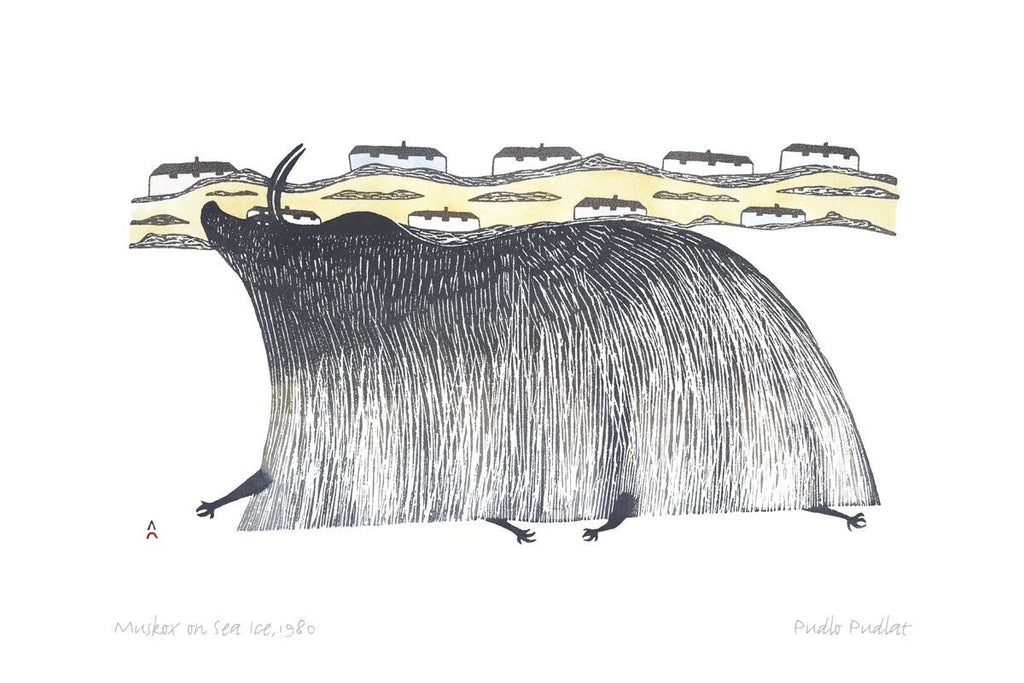 Muskox On Sea Ice, 1980 par Pudlo Pudlat, carte d'art autochtone, carte encadrée d'art inuit