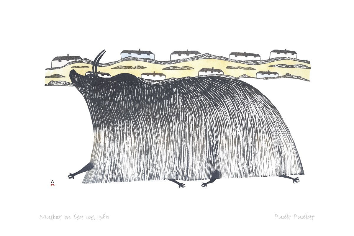 Muskox On Sea Ice, 1980 par Pudlo Pudlat, carte d'art autochtone, carte encadrée d'art inuit