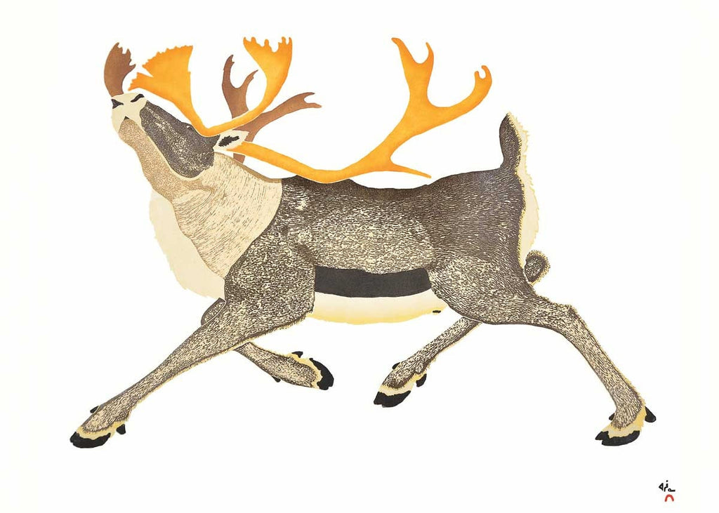 Caribou dominant par Tim Pitsiulak, carte d'art autochtone, carte d'art inuit encadrée