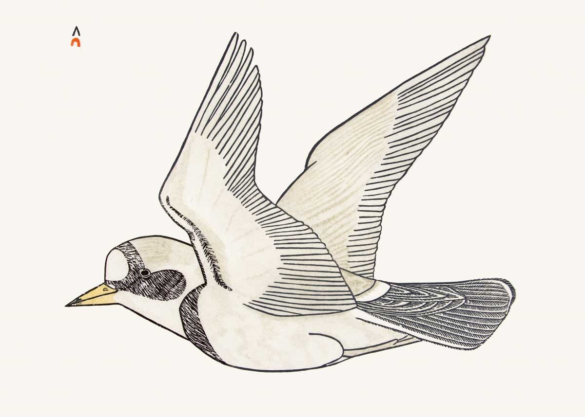 Voguer sur la brise, 1984 par Kananginak Pootoogook, carte d'art autochtone, carte d'art inuit encadrée
