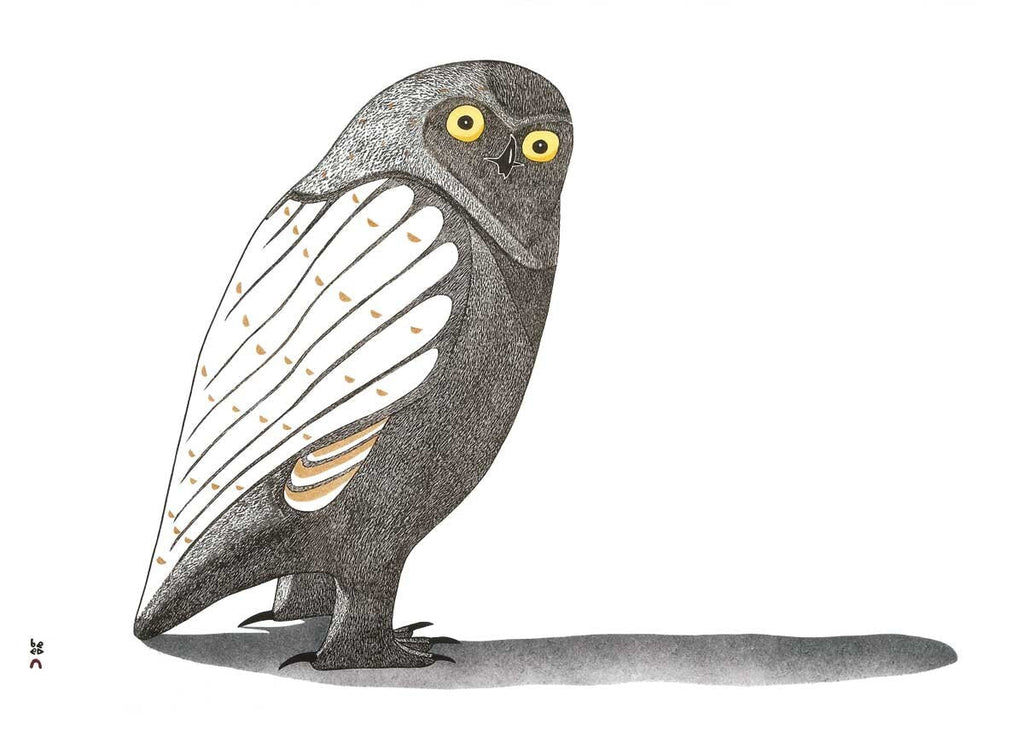 Evening Shadow par Kananginak Pootoogook, carte d'art autochtone, carte encadrée d'art inuit