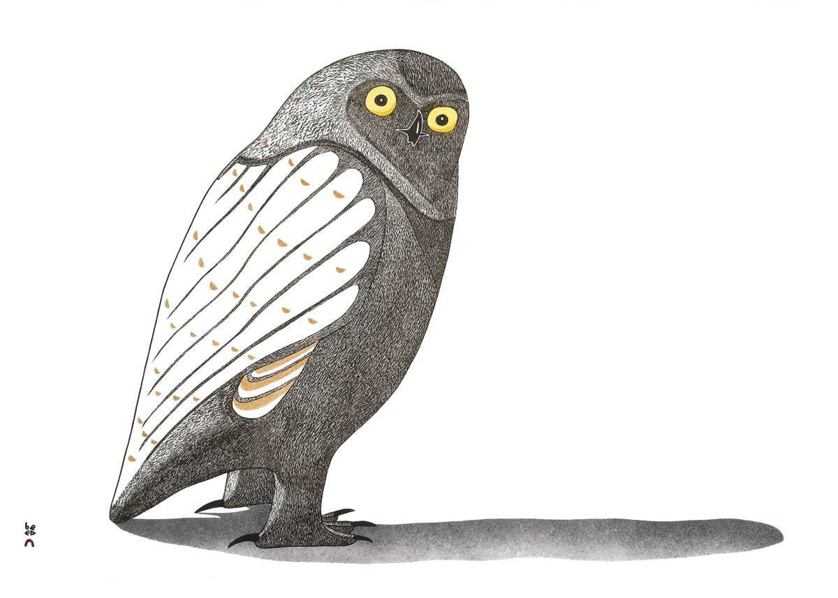 Evening Shadow par Kananginak Pootoogook, carte d'art autochtone, carte encadrée d'art inuit