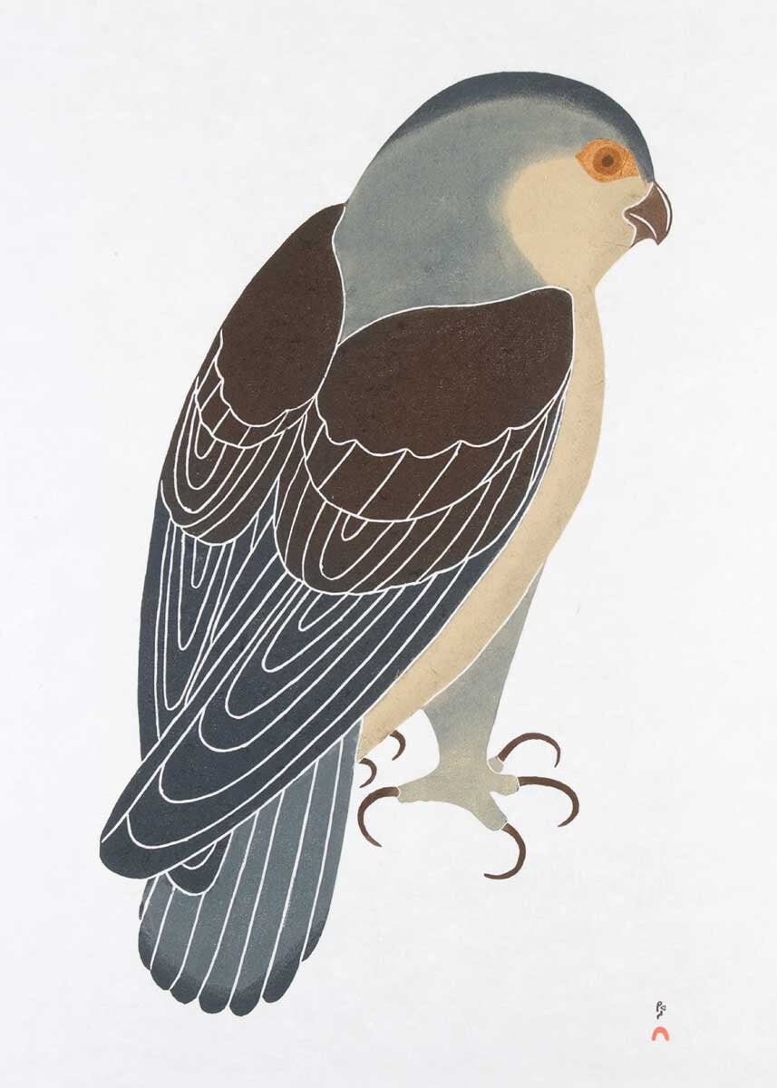 Faucon vigilant, 1989 par Kananginak Pootoogook, carte d'art autochtone, carte d'art inuit encadrée