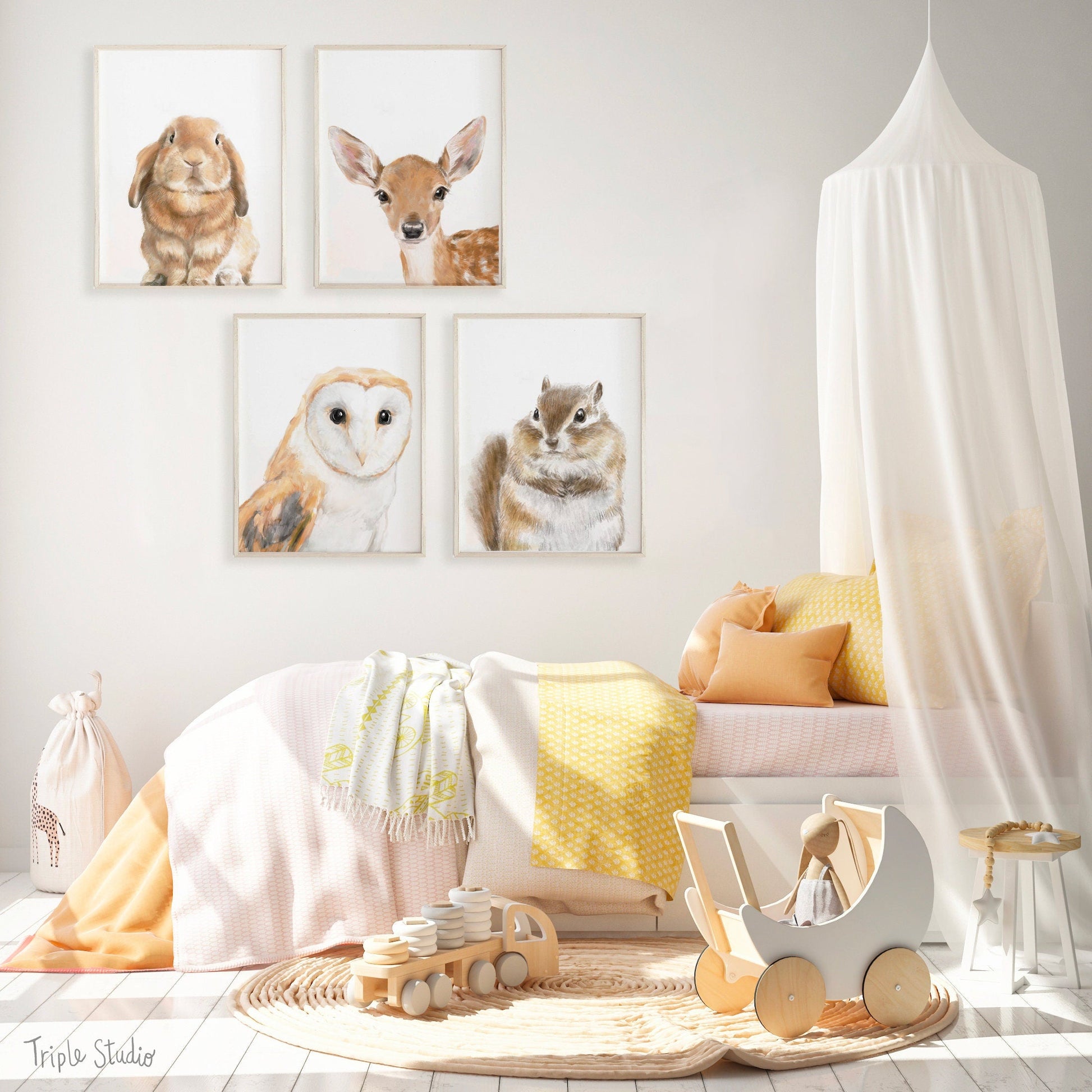 Barn Owl Art Print