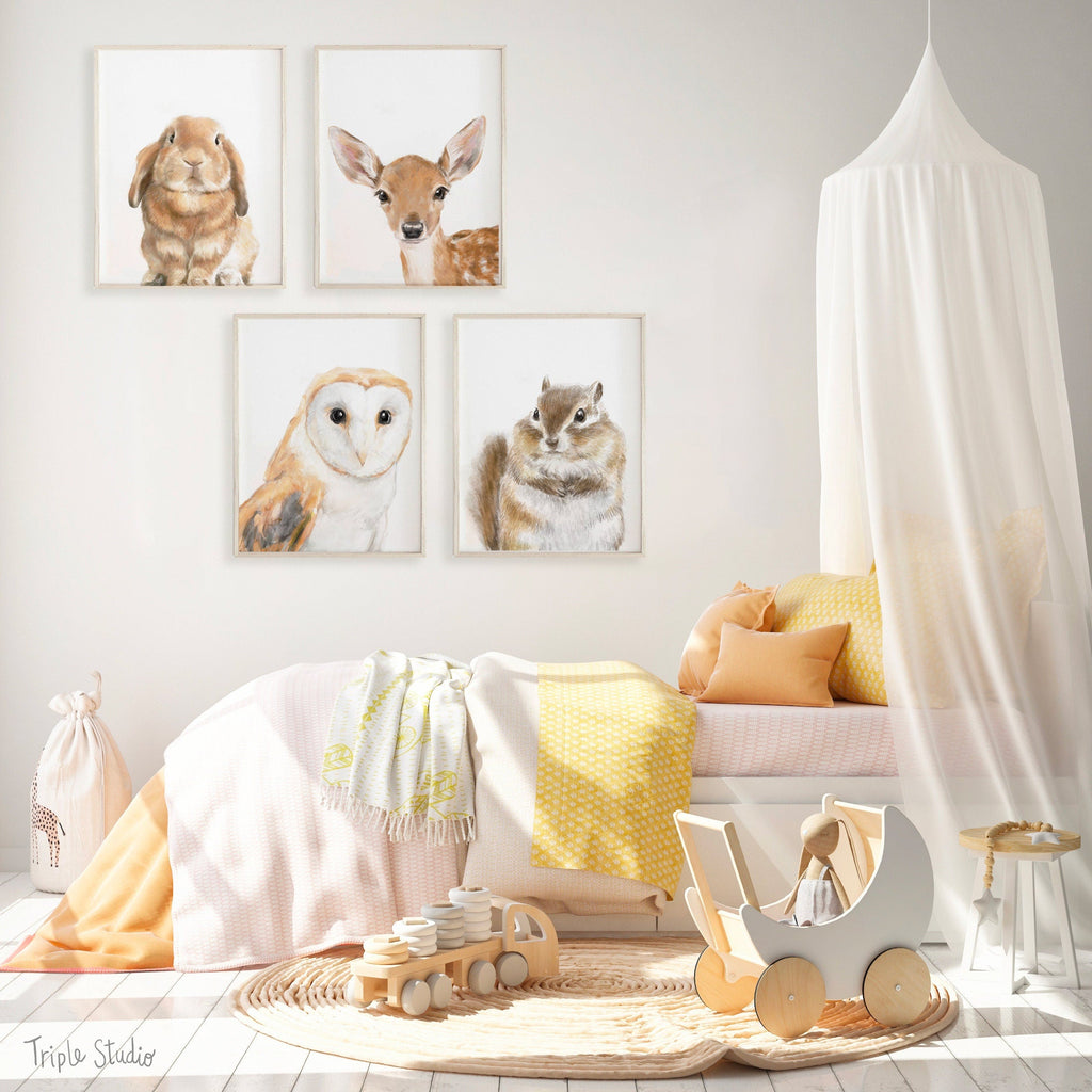 Barn Owl Art Print