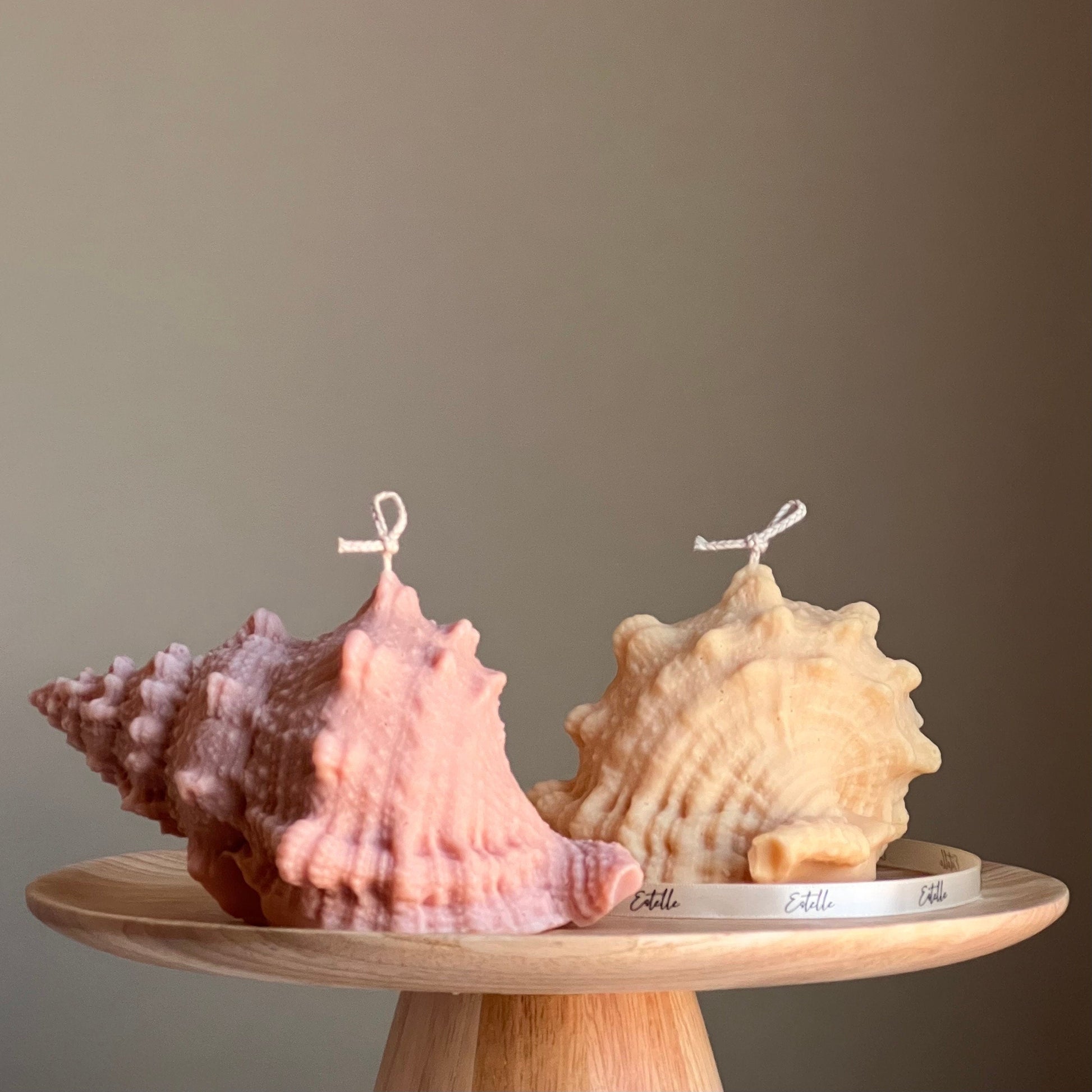 Large Seashell Soy Wax Candle: Unique Home Decor