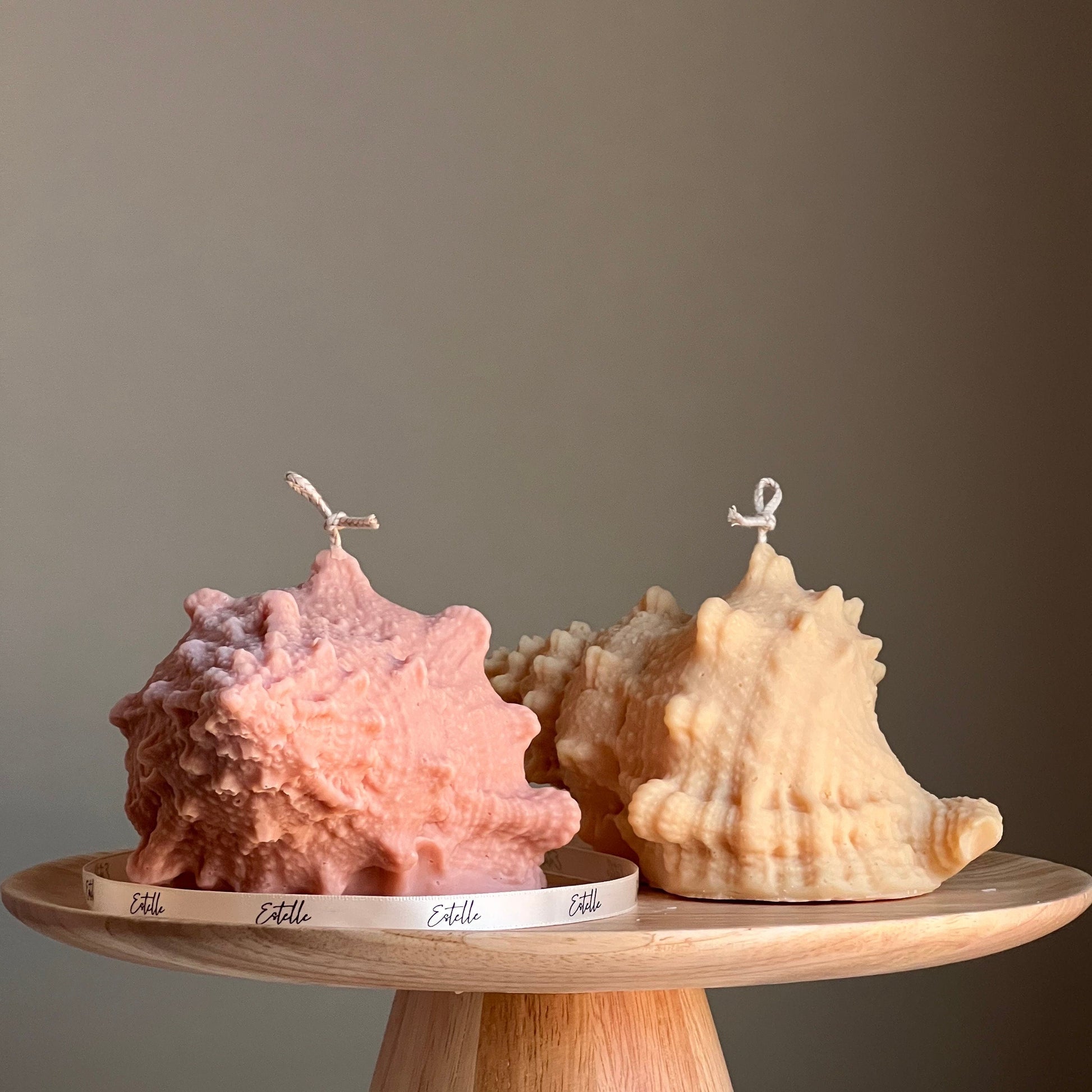 Large Seashell Soy Wax Candle: Unique Home Decor