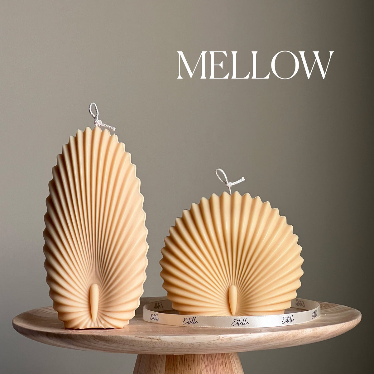 Duo de bougies coquillage : bougies décoratives en cire de soja en forme de palourdes